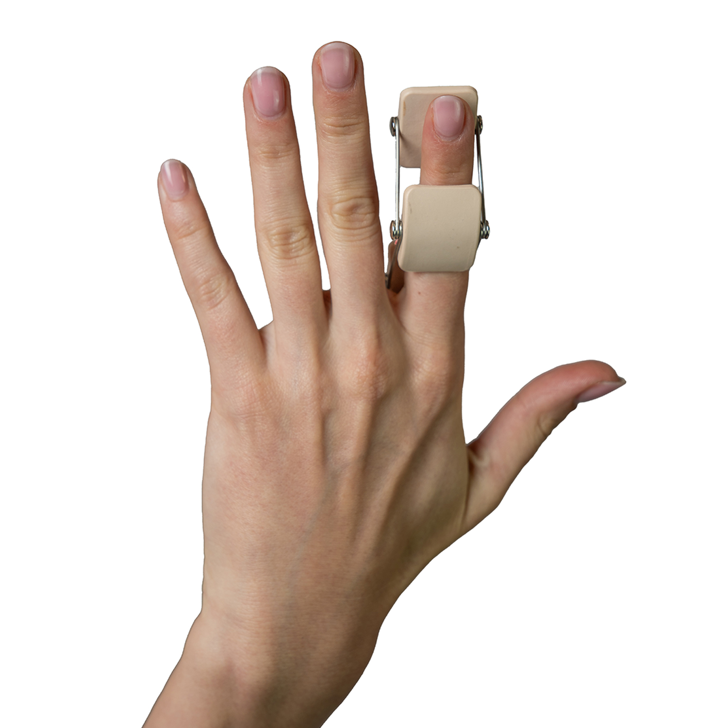 Шина Ботониера