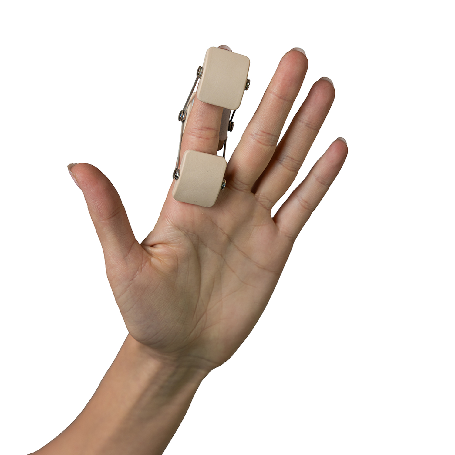 Шина Ботониера